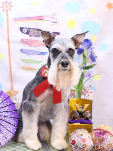 20240511銀次くん